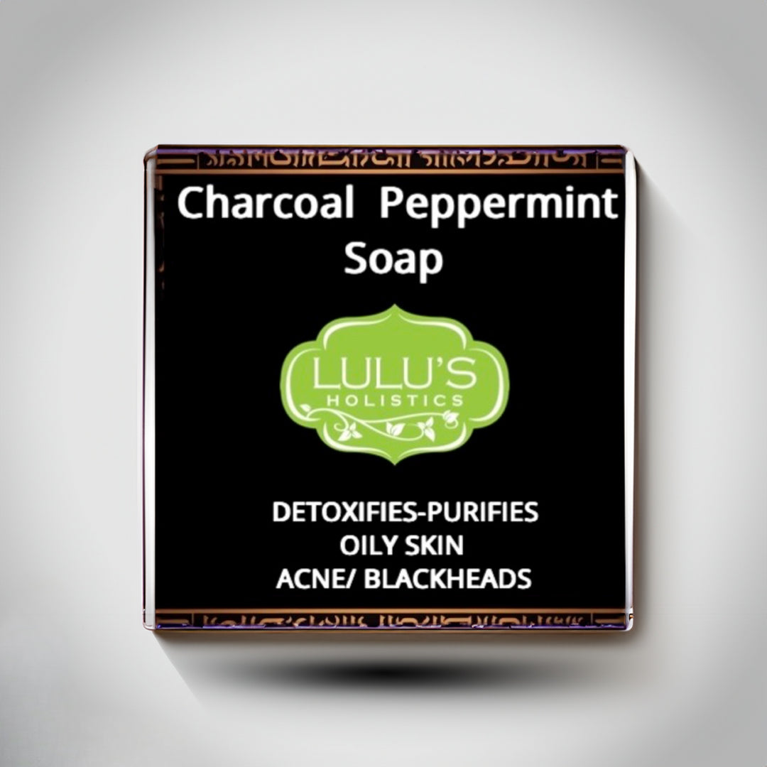 Charcoal Coconut Peppermint Bar Soap - Lulu's Holistics